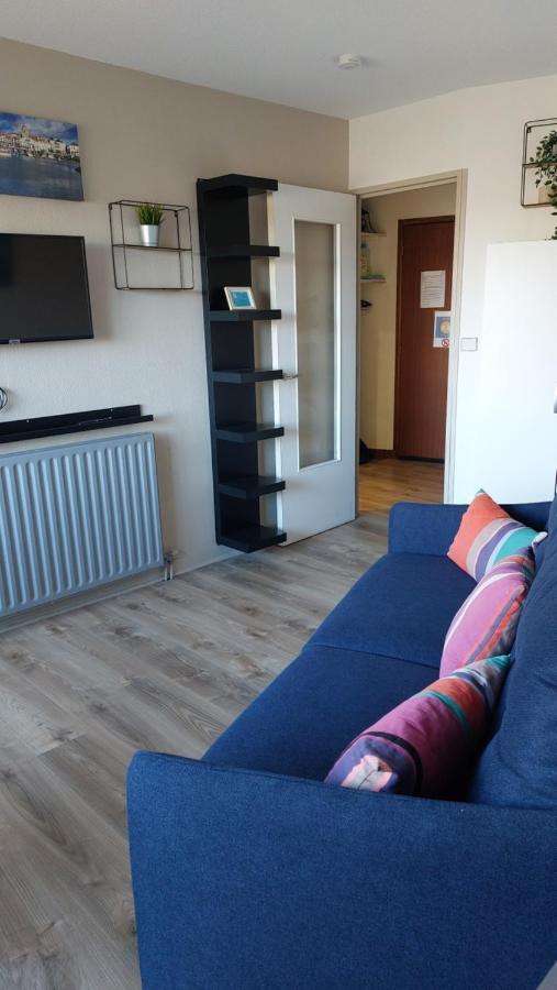Studio Haut De Bordagain Ciboure Eksteriør bilde